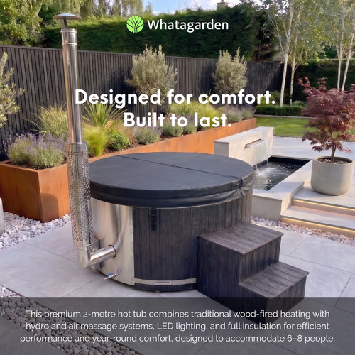 Modern looking wood fired - modern,